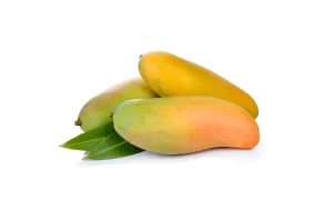Karthakolomban Mangoes